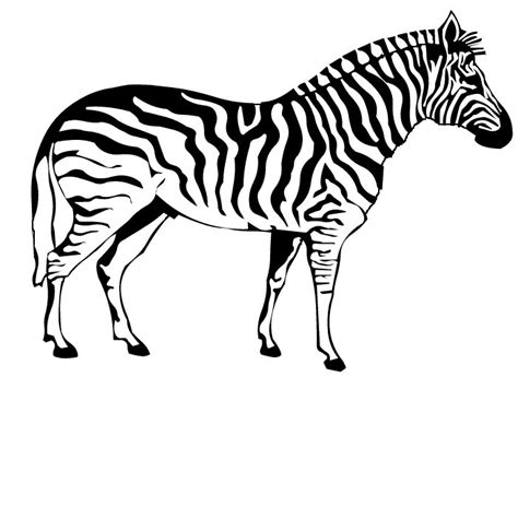 Download 631+ Zebra Print Out Silhouette